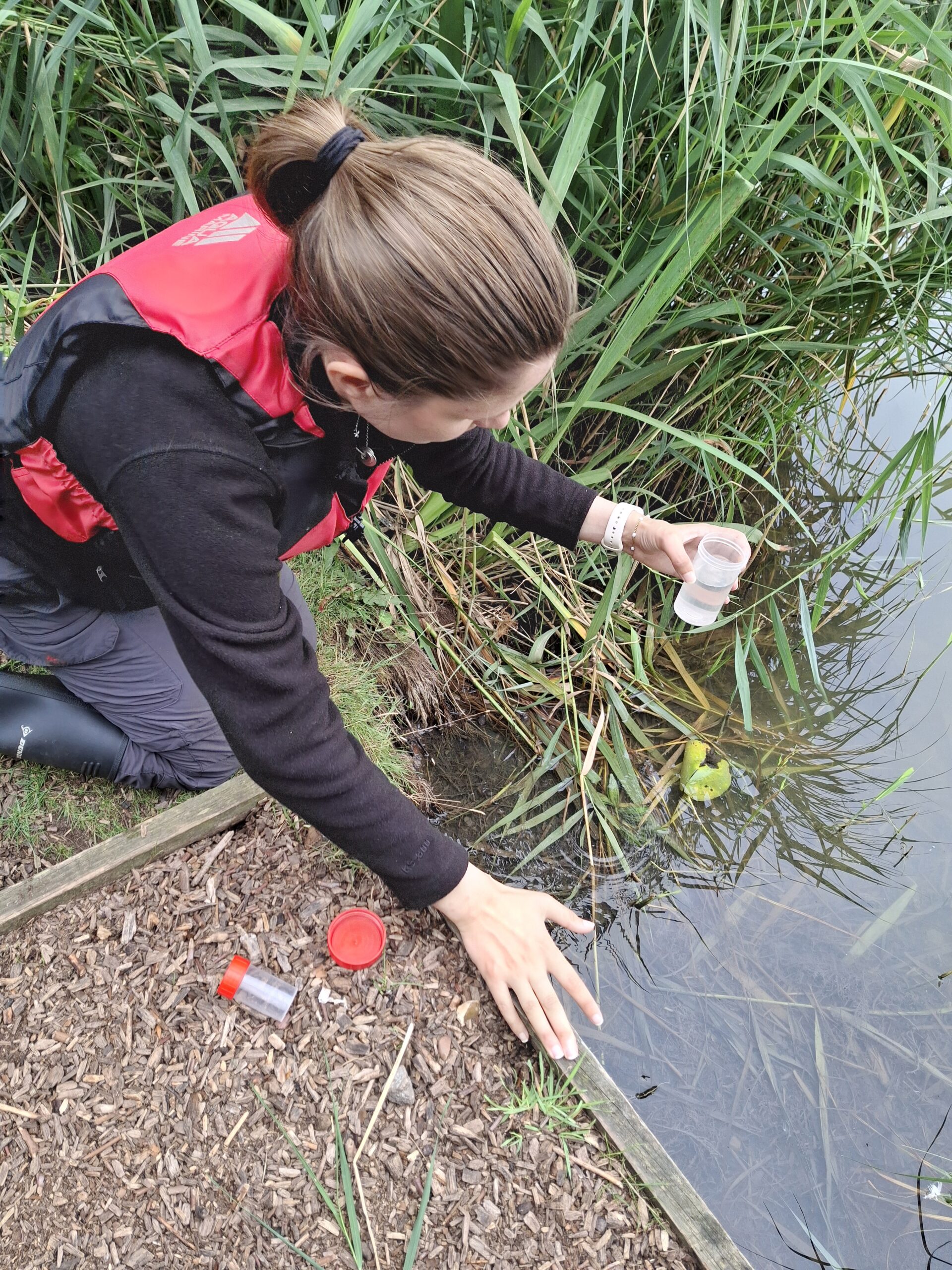 Water quality analyst conducting field sampling for water quality samples from a freshwater lake