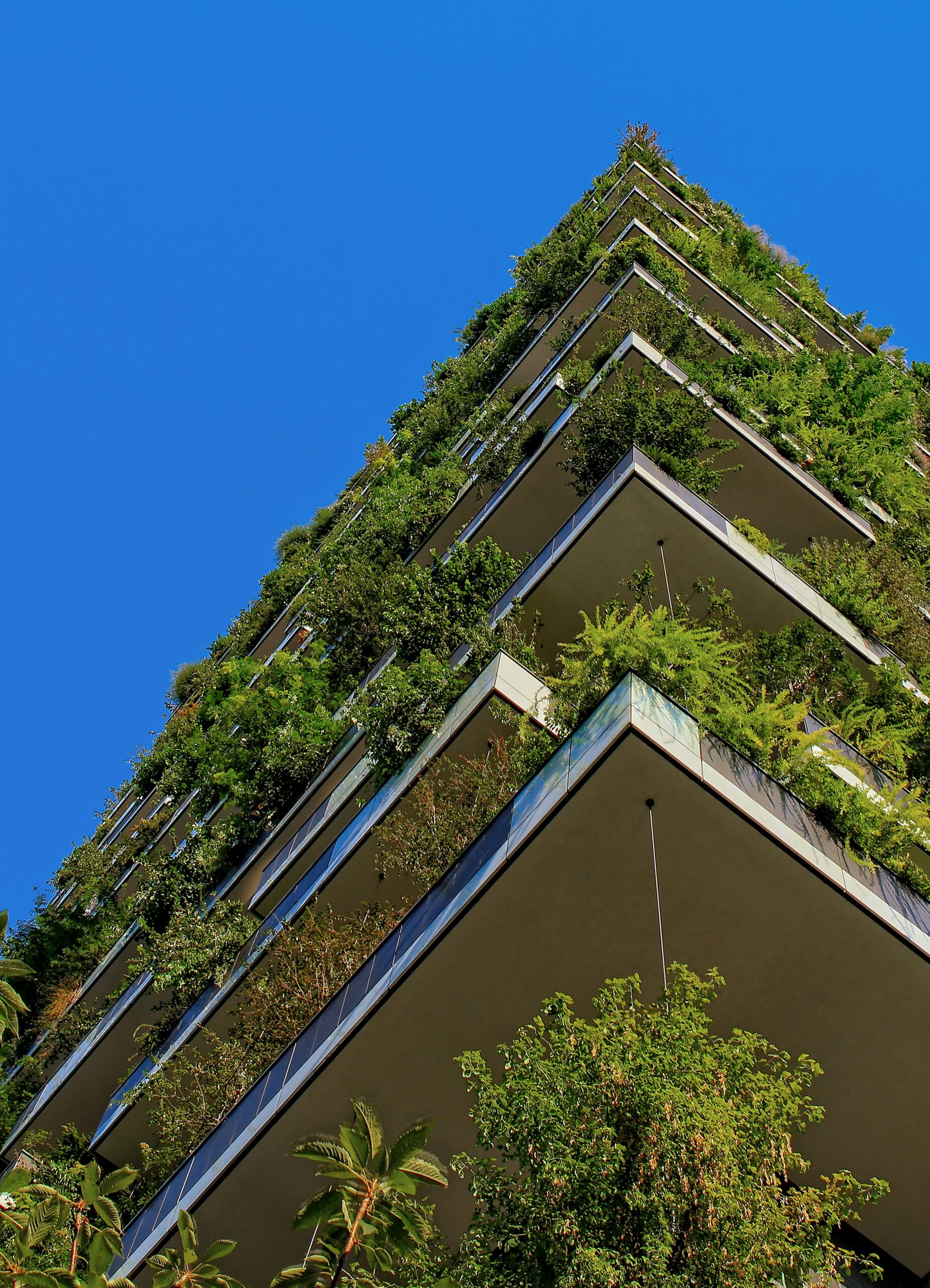 Sustainability solution. Green corporate approaches. Vegetation. Building and corporate sustainability.